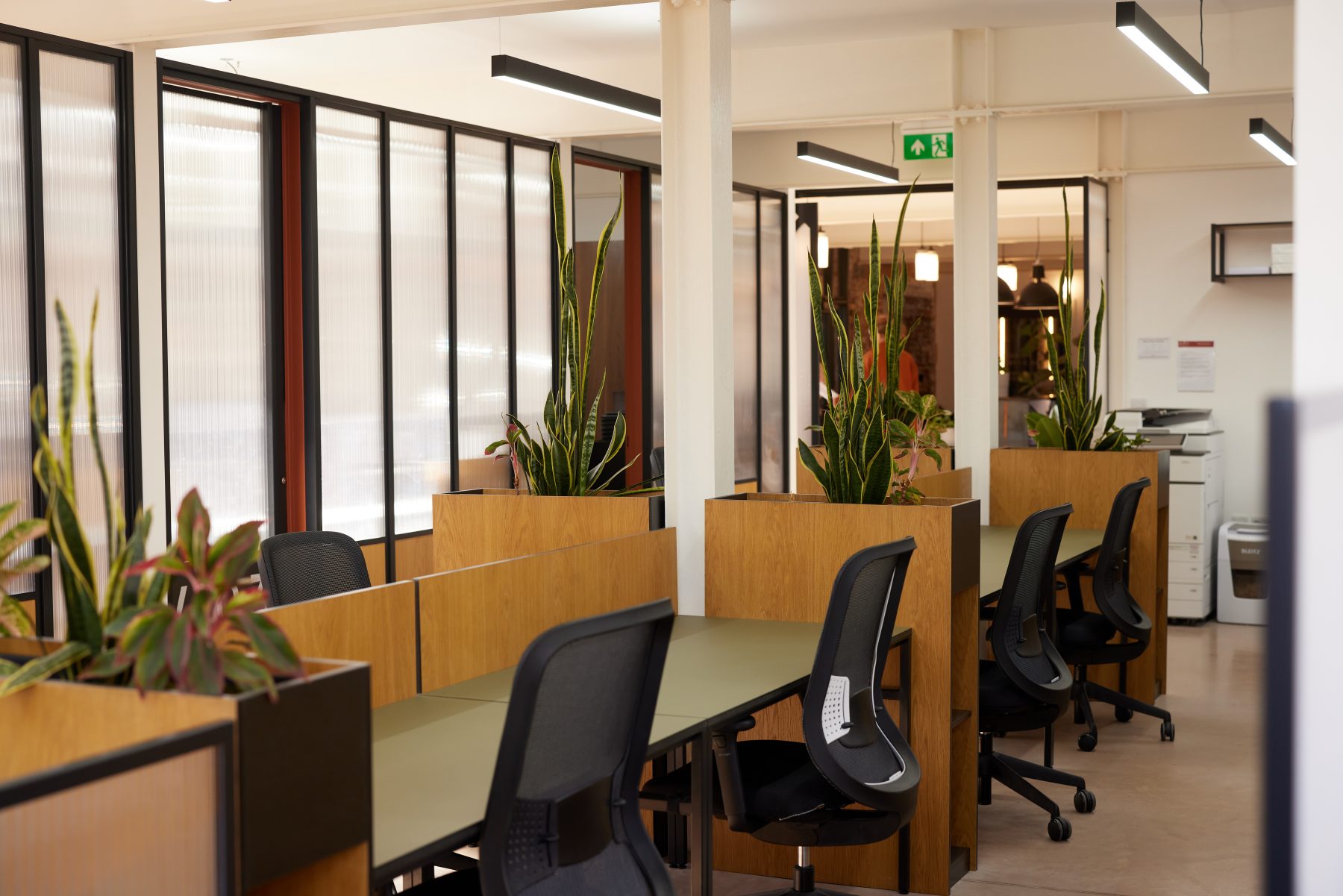 A modern coworking space with desks, chairs and lots of house plants.