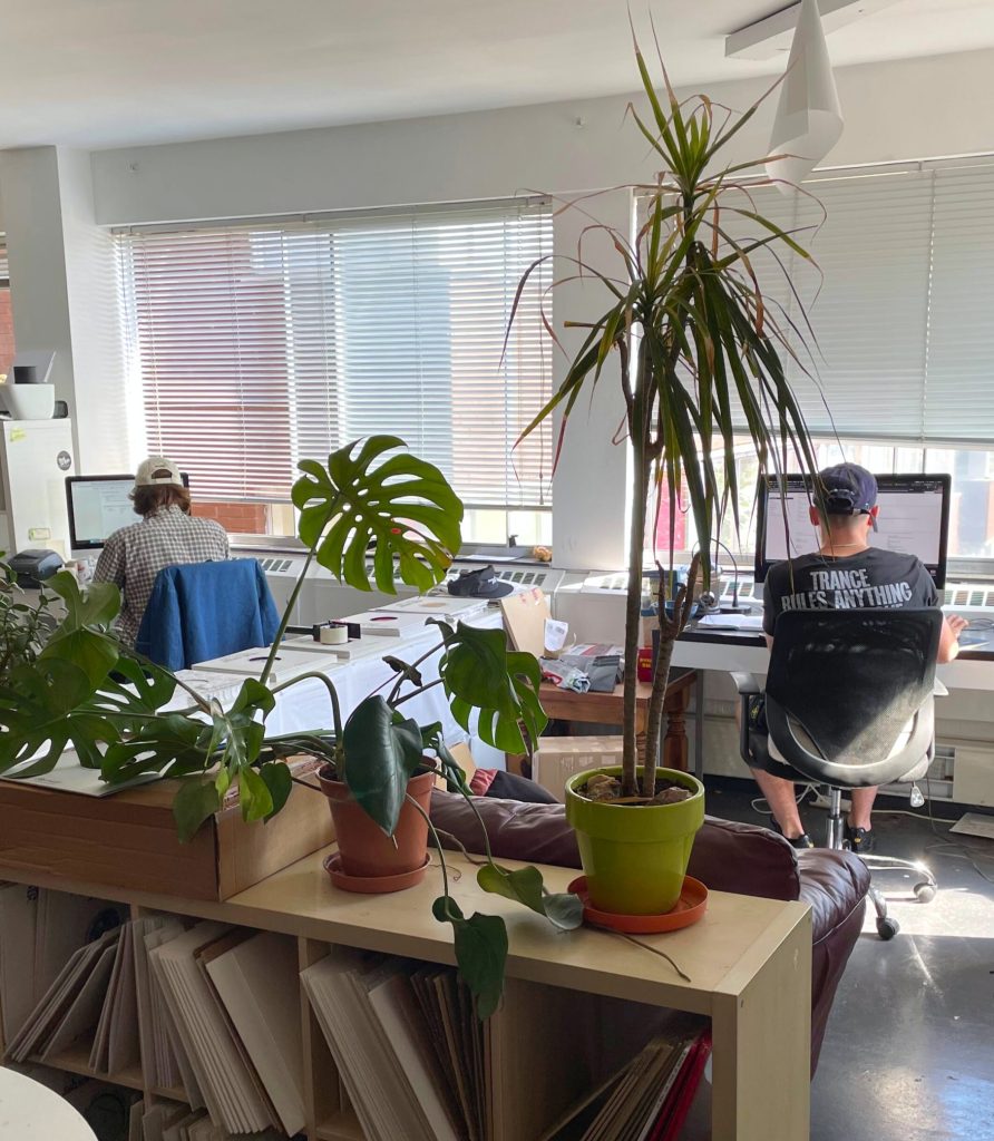 Office with plants, bookshelves and people working