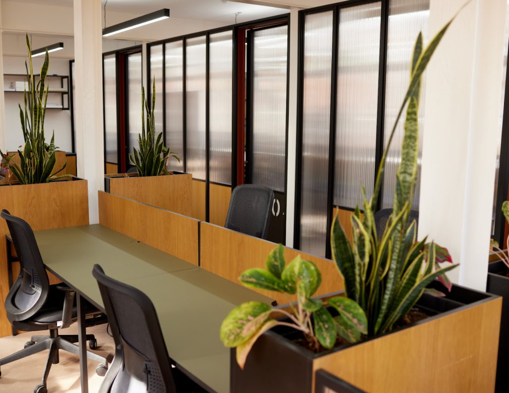 Bright and spacious wooden desks in a modern room with plants